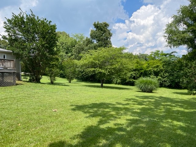 10047 Judy Road Lyles, TN 37098 - Photo 4 of 32 a view of a grassy field with trees