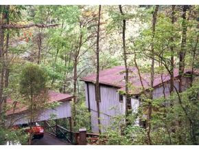 113 Wonder Valley Road Bristol, TN 37620 - Photo 1 of 1 Photo 1