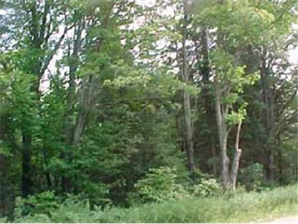 245 Success Road Milan, NH 03588 - Photo 1 of 1