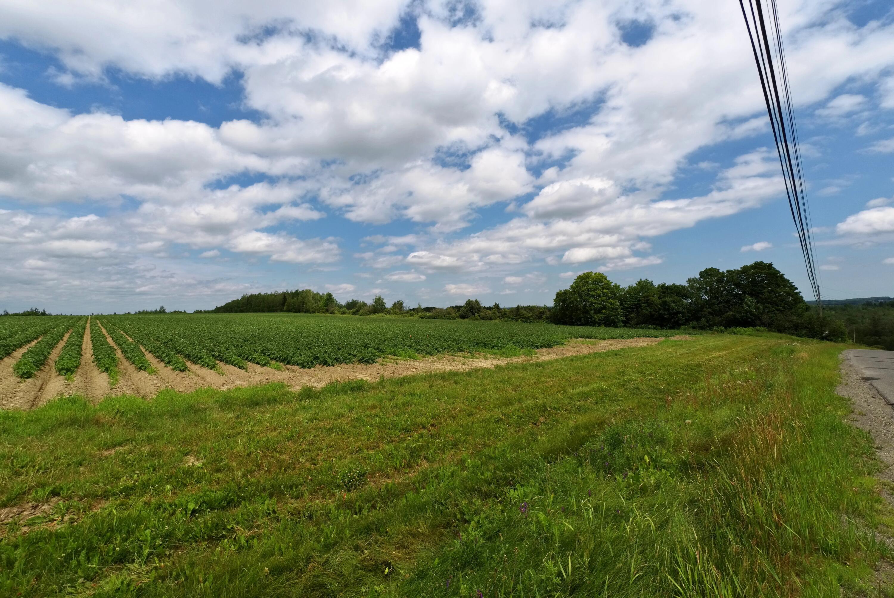 Lot 40 Carson Road Perham, ME 04766 - Photo 6 of 6 20210706_142158_987