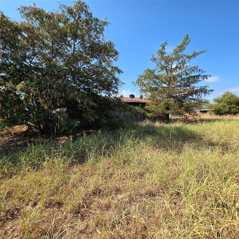 1946 North Bosley Road Santo, TX 76472 - Photo 26 of 27 Gallery Image 26