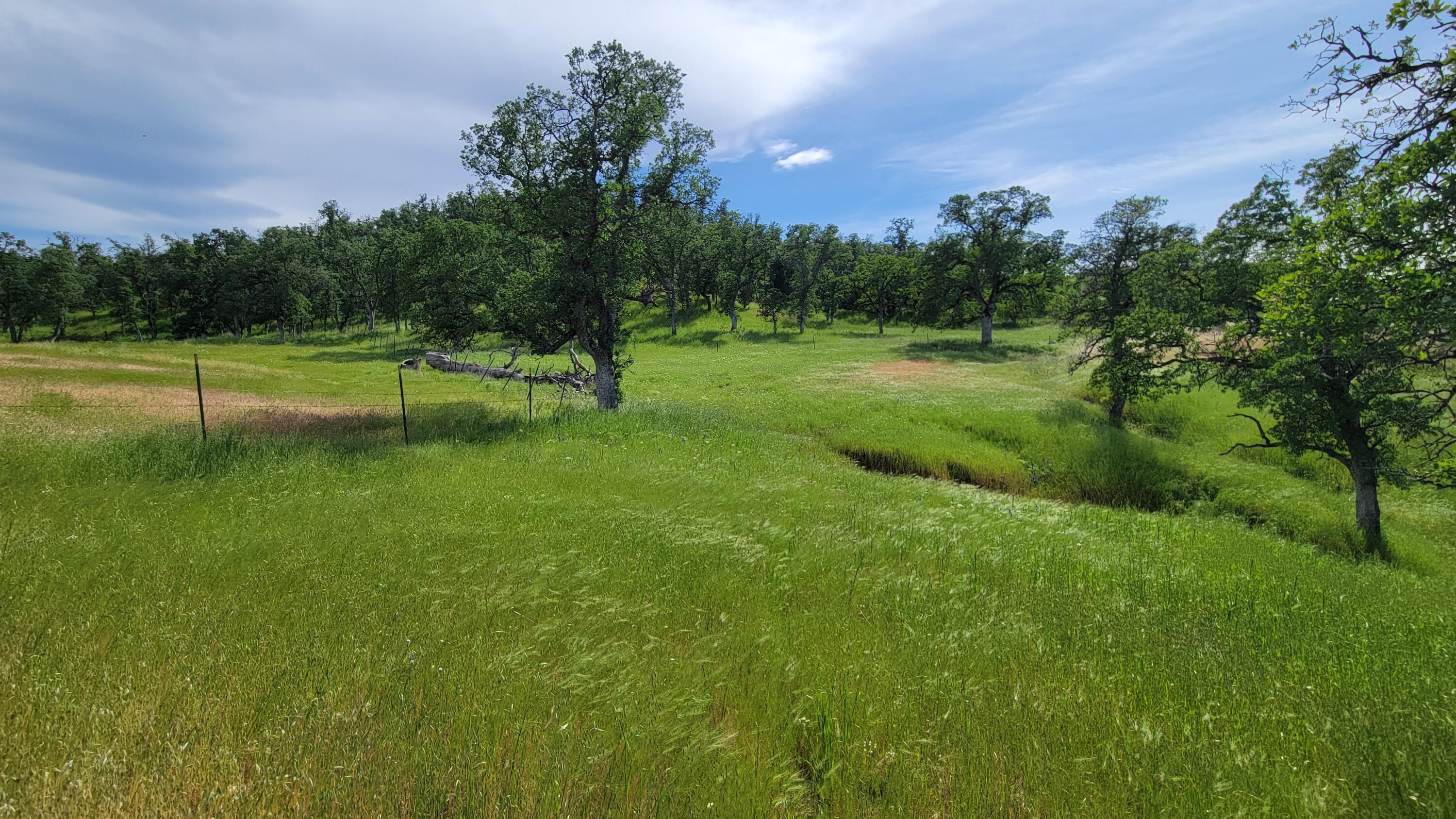 Lot 4 Bland Road Igo, CA 96047 - Photo 18 of 46 20240503_155904