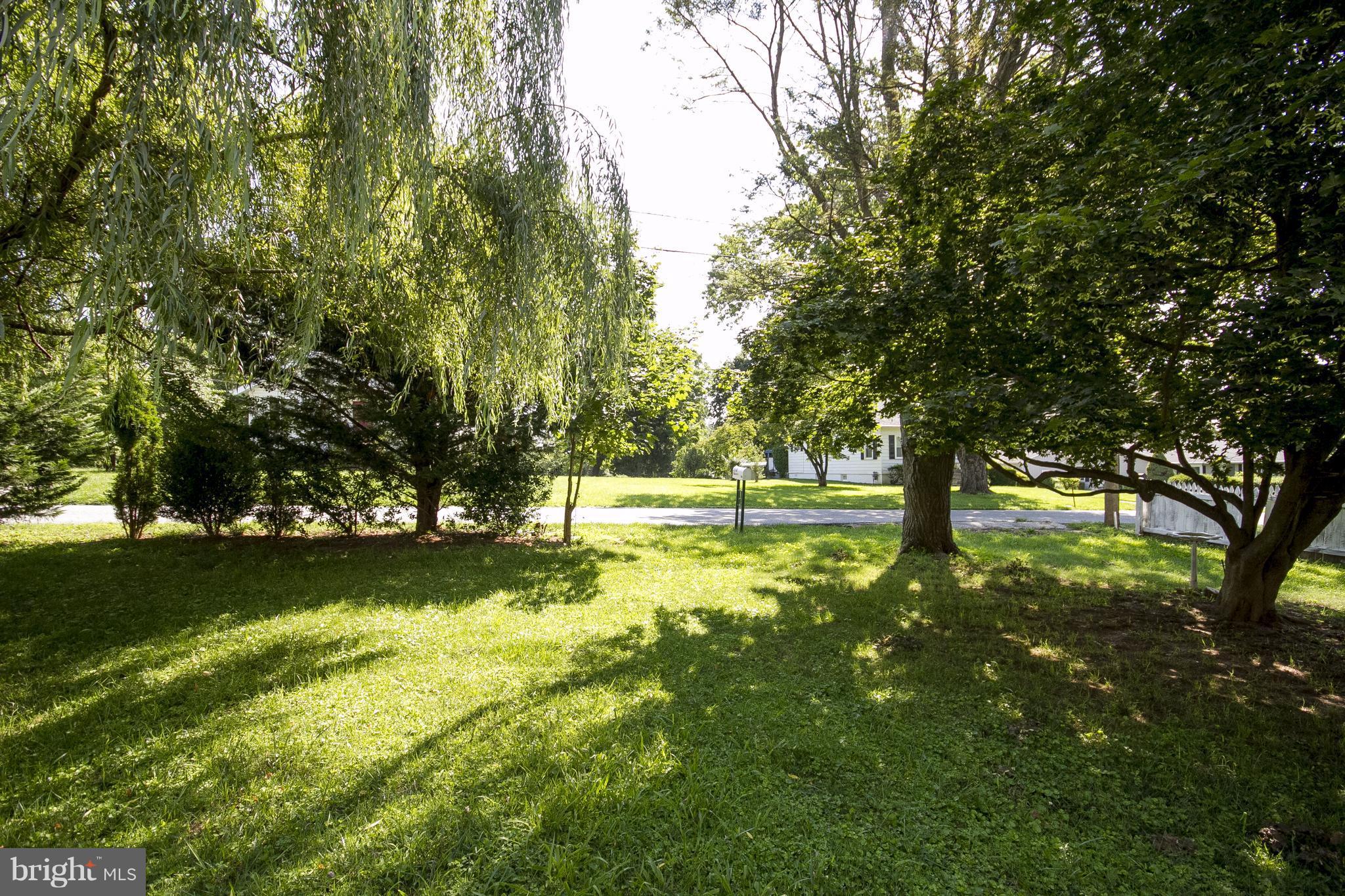 118 Byway Road Owings Mills, MD 21117 - Photo 5 of 25 a view of a yard with a tree