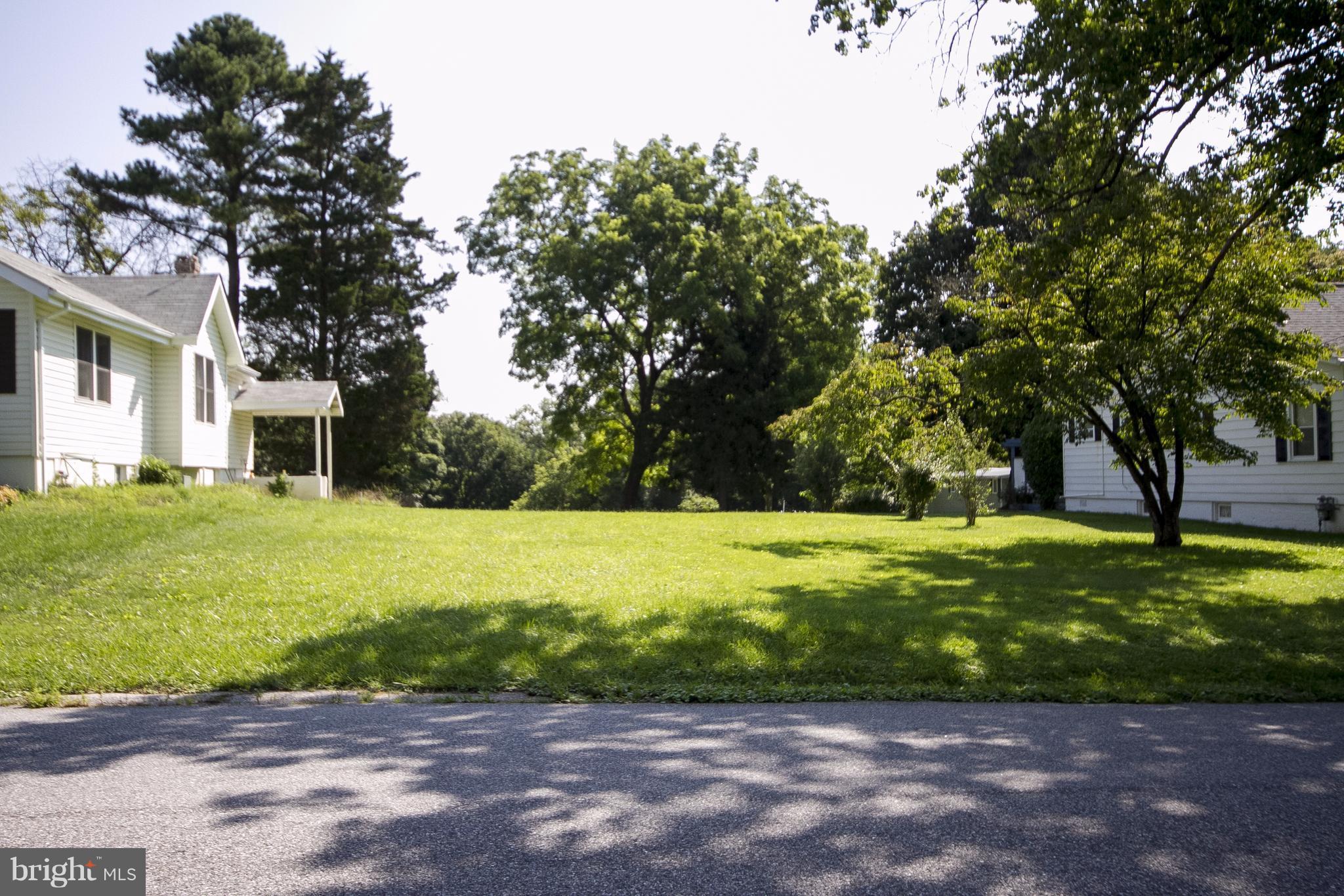 118 Byway Road Owings Mills, MD 21117 - Photo 6 of 25 a view of a yard with plants and trees