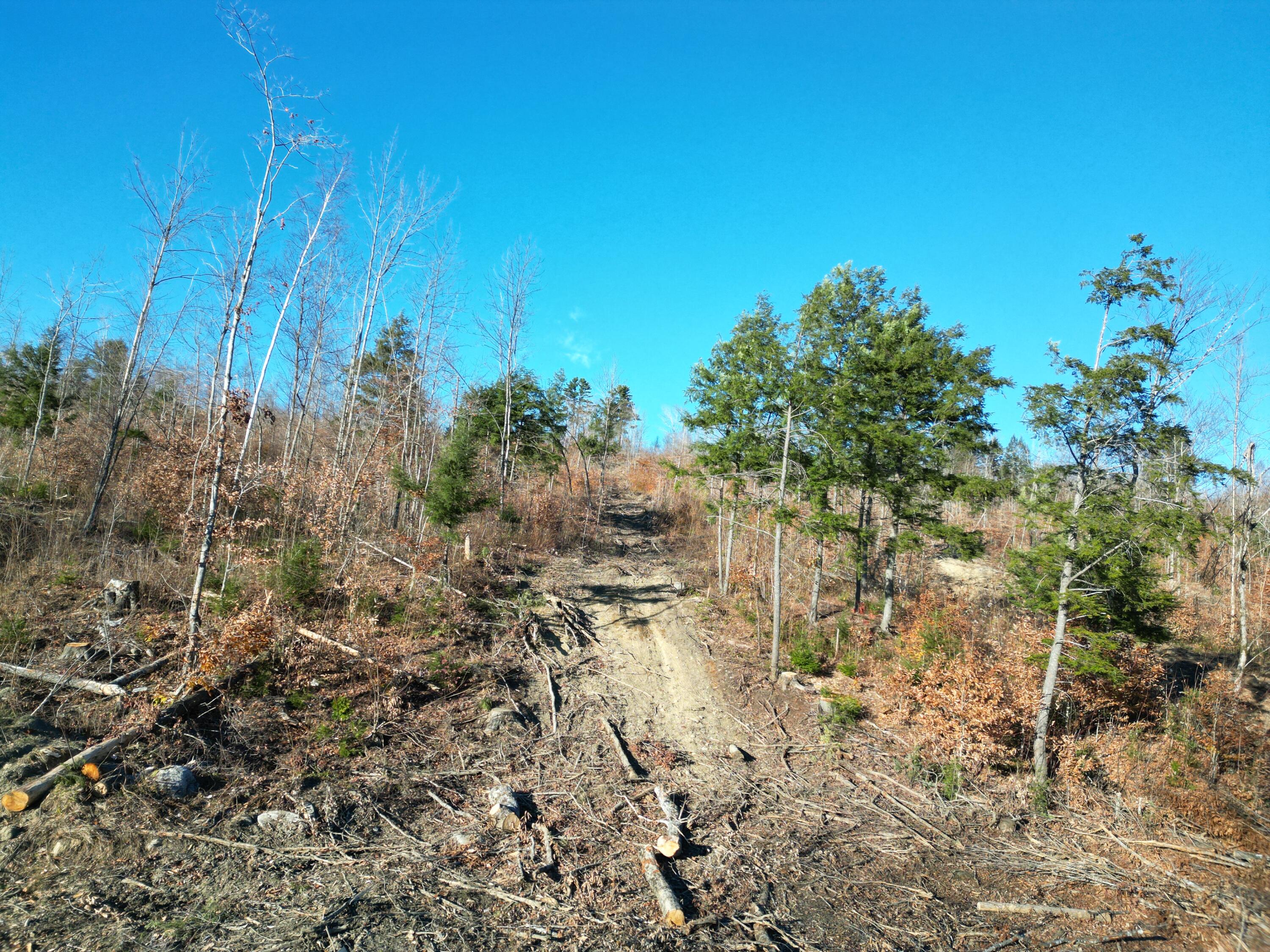 Lot 12 Ghost Road Springfield, ME 04487 - Photo 4 of 16 DJI_0915