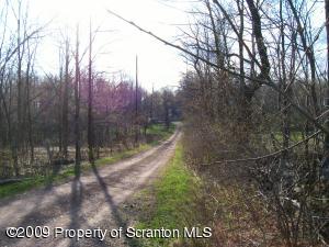 1765 Howe Road Moscow, PA 18444 - Photo 16 of 21 a view of a park with large trees