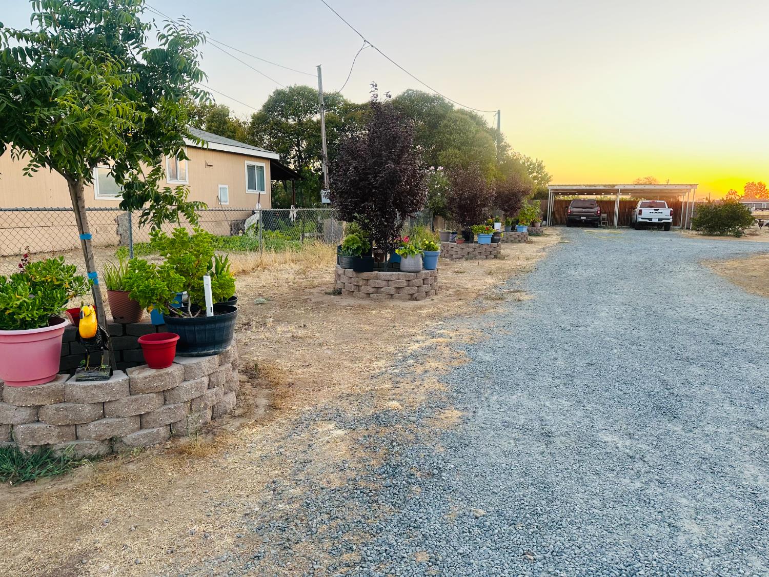 22788 Maple Street Chowchilla, CA 93610 - Photo 9 of 20 a view of a backyard
