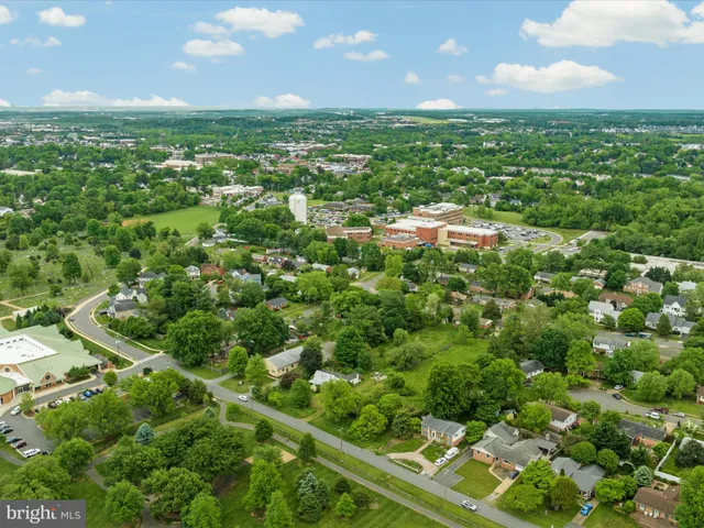 a view of a lush green space