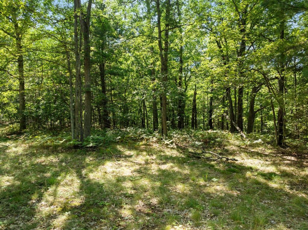 6460 White Road Indian River, MI 49749 - Photo 31 of 41 Gallery Image 31