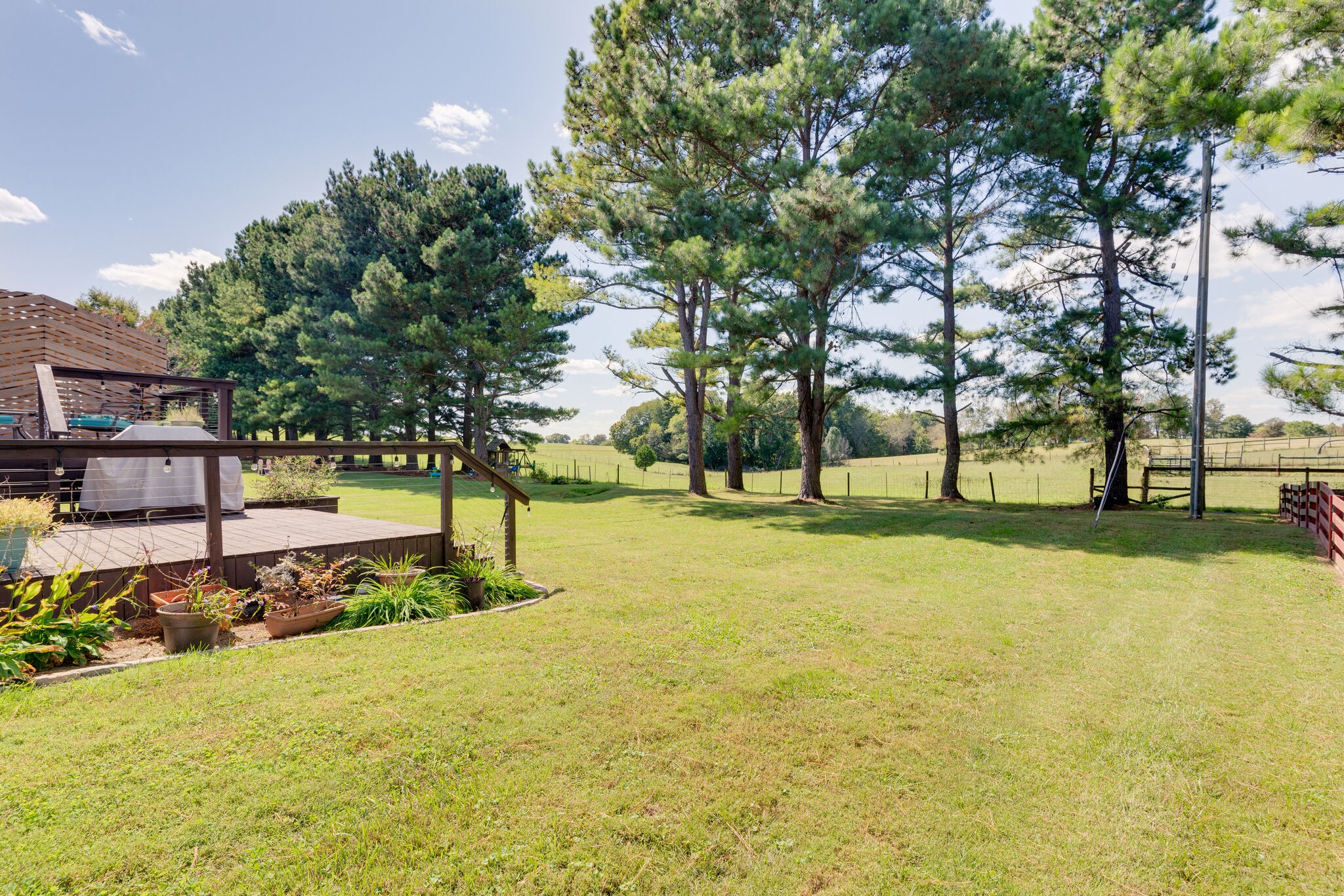310 Lenox Court Springfield, TN 37172 - Photo 12 of 12 a view of yard with tree