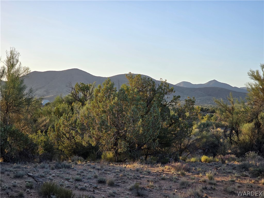 0 North Rease Road Kingman, AZ 86401 - Photo 11 of 50