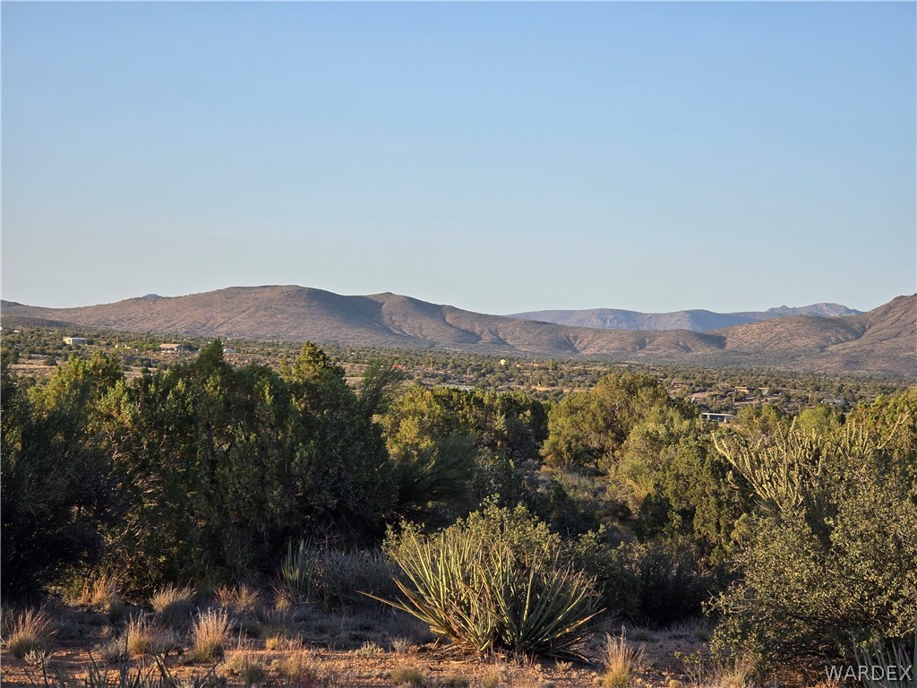 0 North Rease Road Kingman, AZ 86401 - Photo 12 of 50