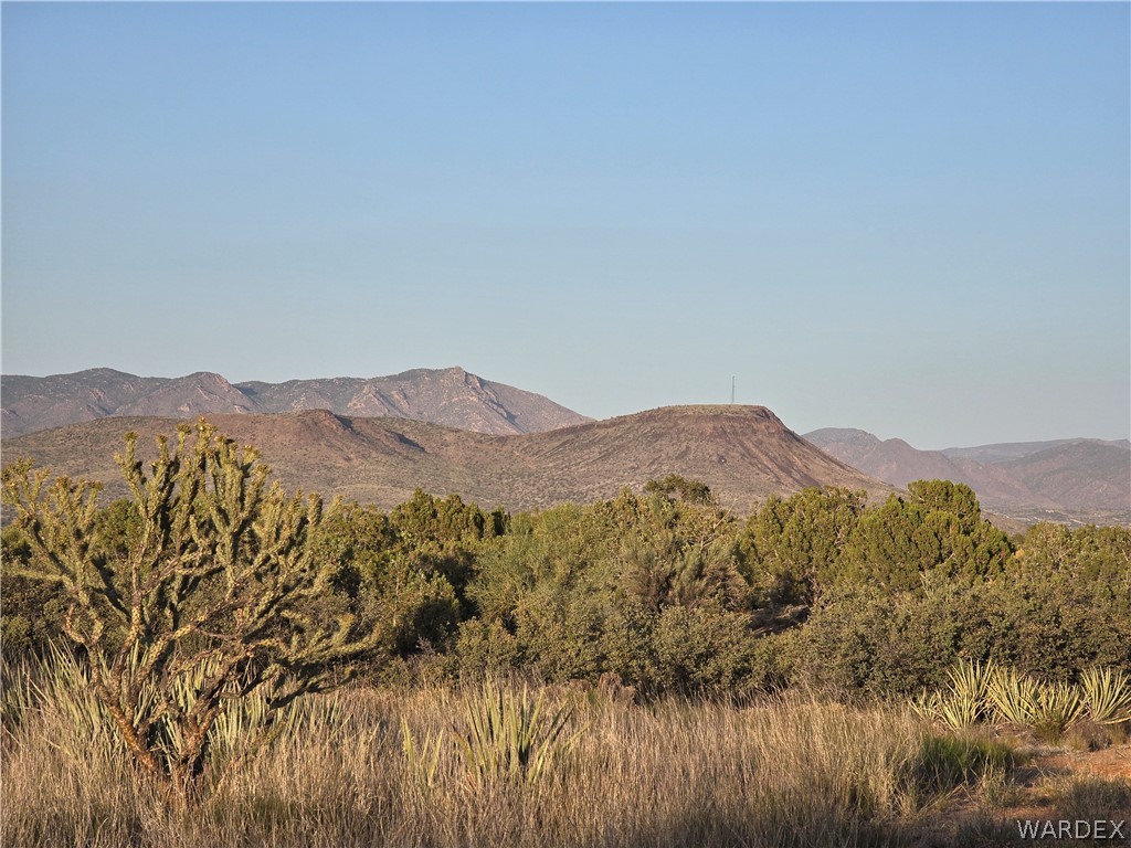 0 North Rease Road Kingman, AZ 86401 - Photo 13 of 50