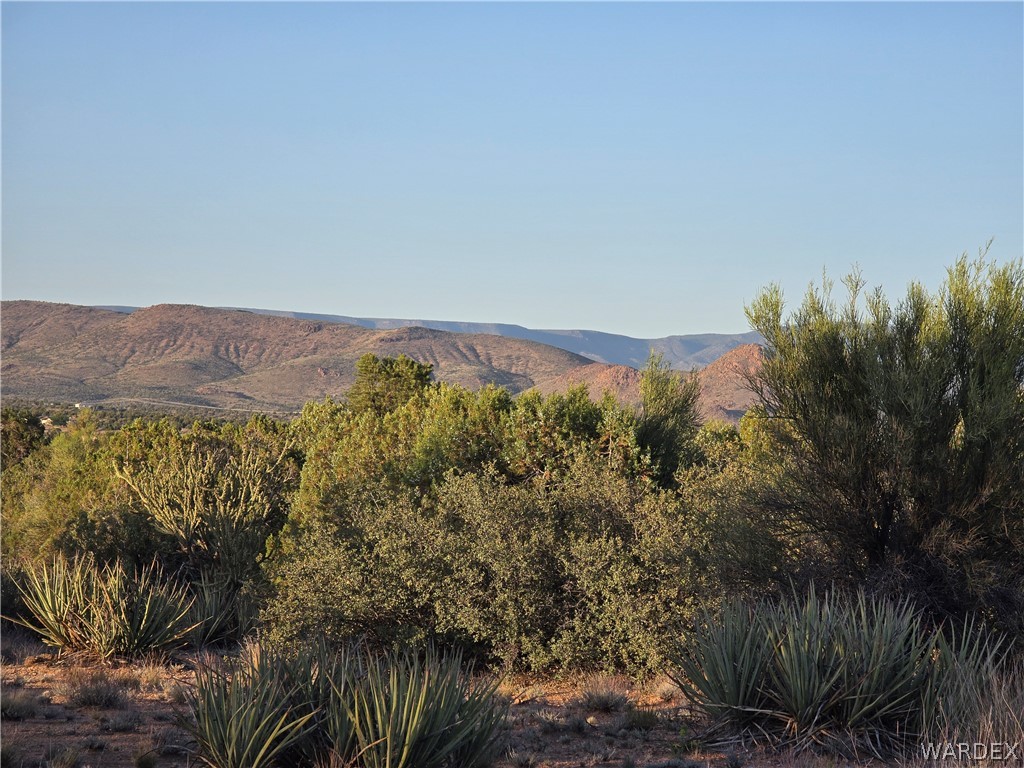 0 North Rease Road Kingman, AZ 86401 - Photo 14 of 50