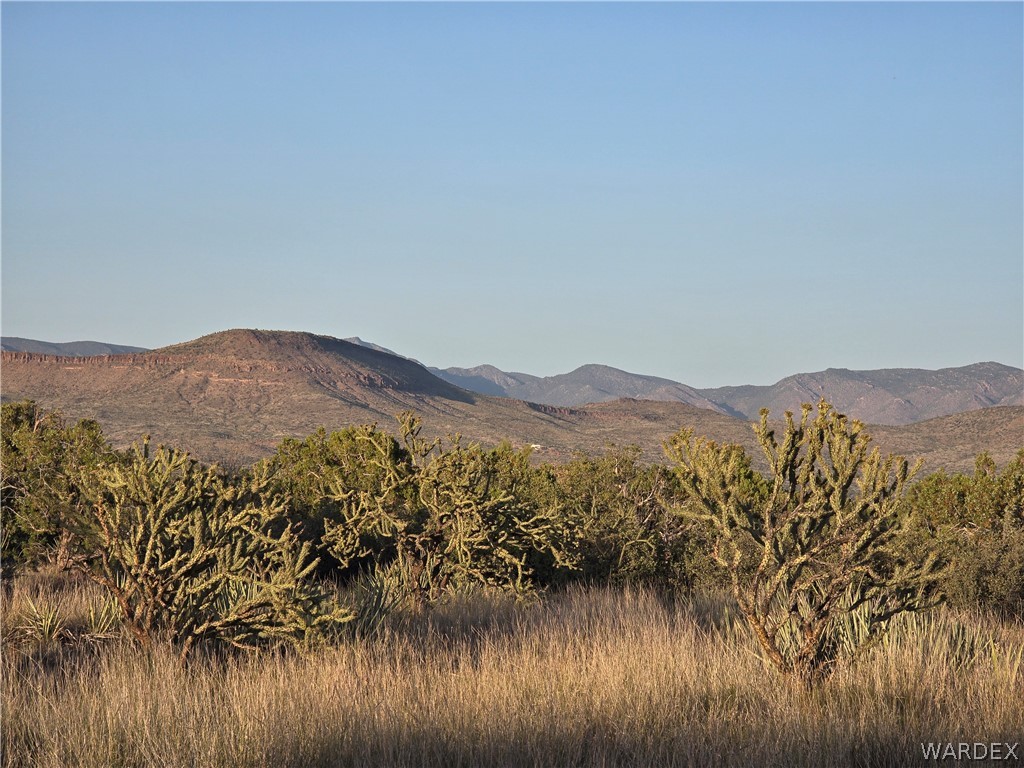 0 North Rease Road Kingman, AZ 86401 - Photo 15 of 50