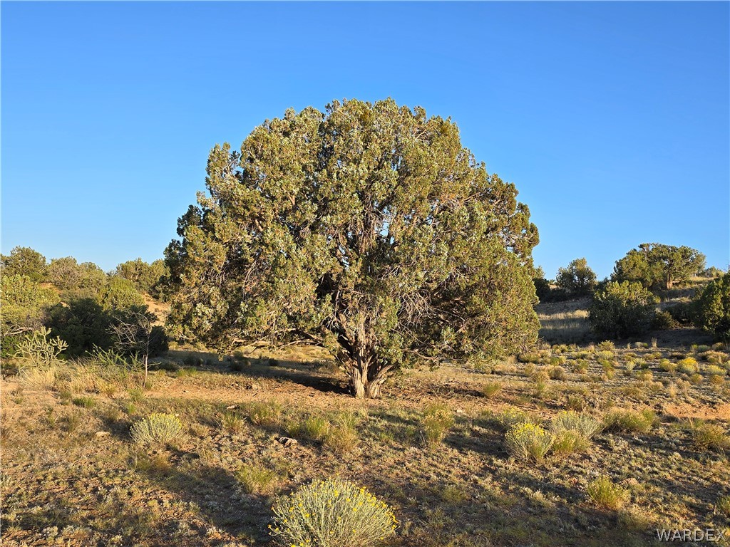 0 North Rease Road Kingman, AZ 86401 - Photo 16 of 50