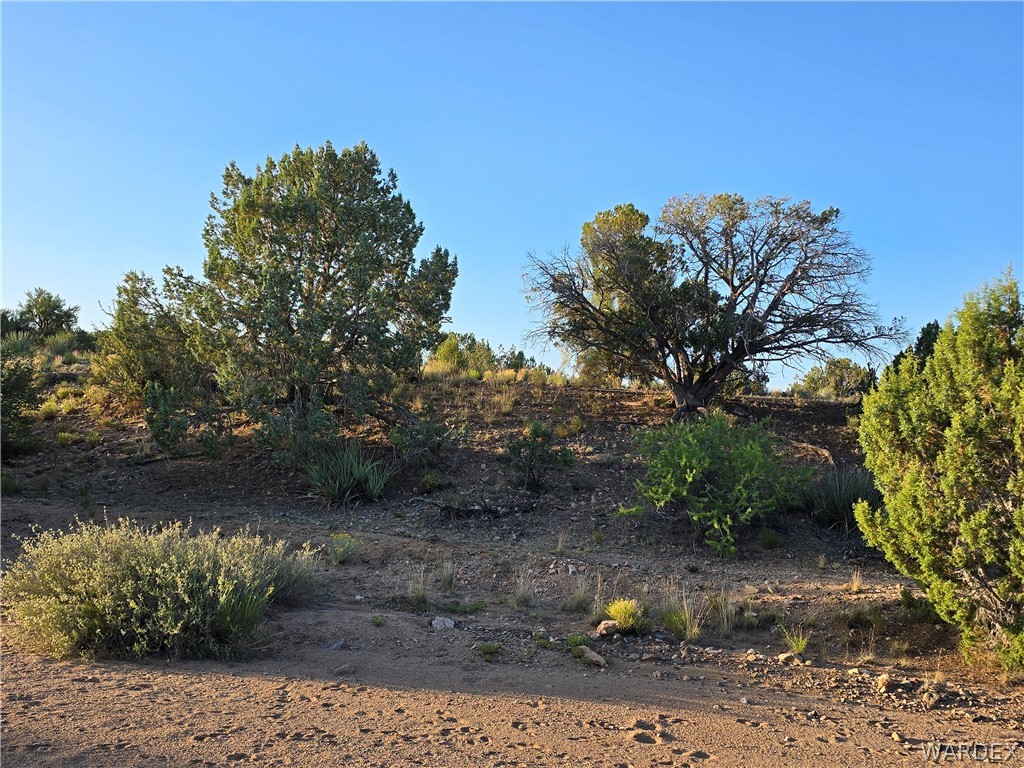 0 North Rease Road Kingman, AZ 86401 - Photo 17 of 50