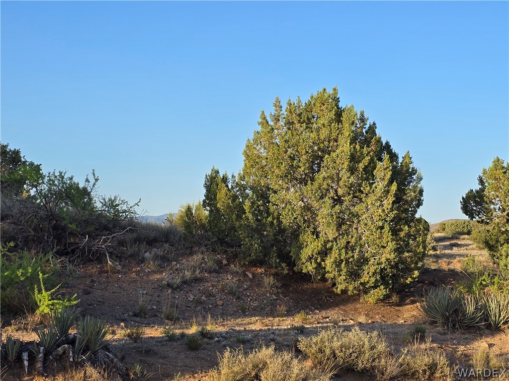 0 North Rease Road Kingman, AZ 86401 - Photo 18 of 50