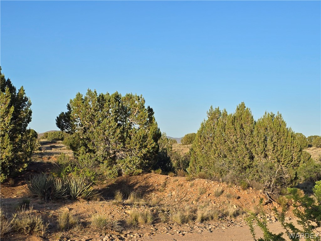 0 North Rease Road Kingman, AZ 86401 - Photo 20 of 50