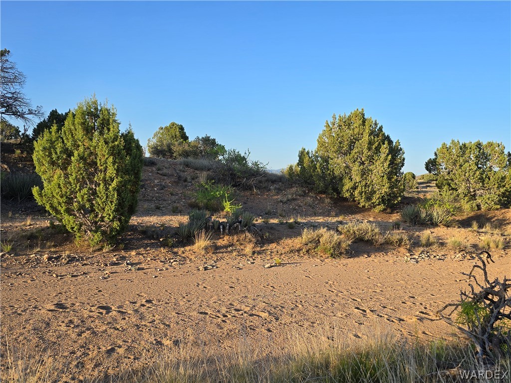 0 North Rease Road Kingman, AZ 86401 - Photo 21 of 50