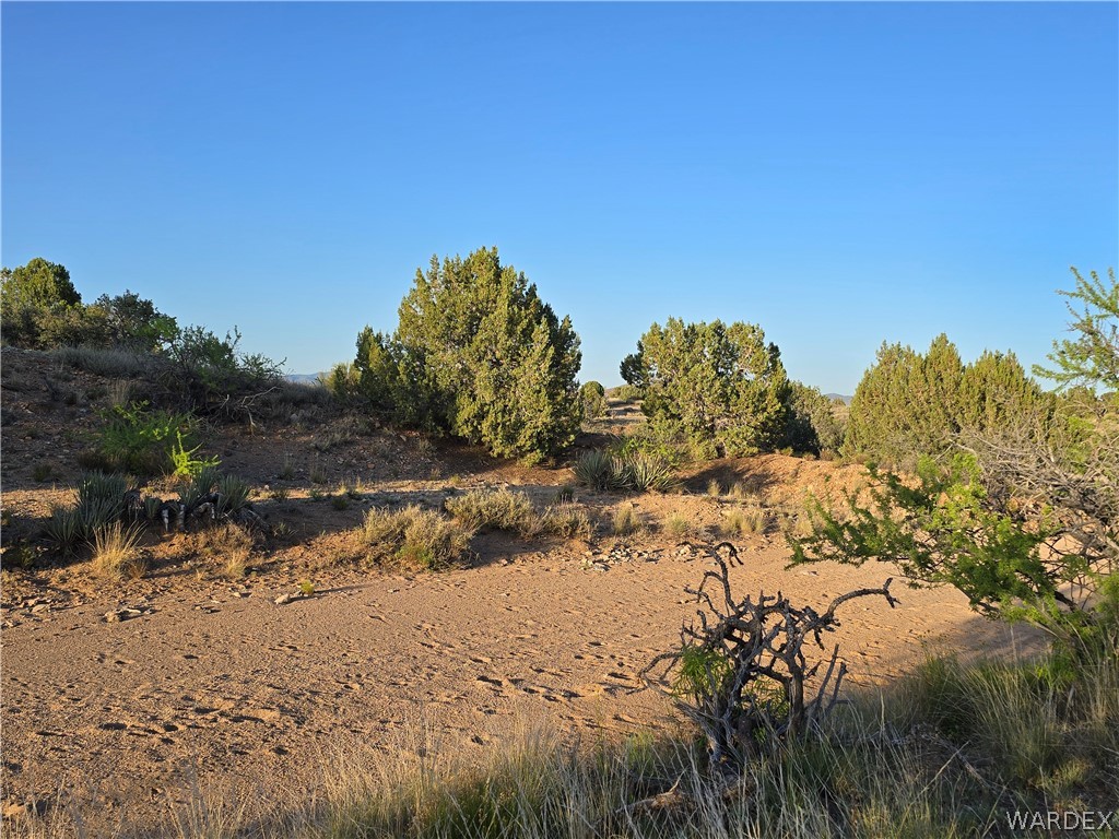 0 North Rease Road Kingman, AZ 86401 - Photo 22 of 50