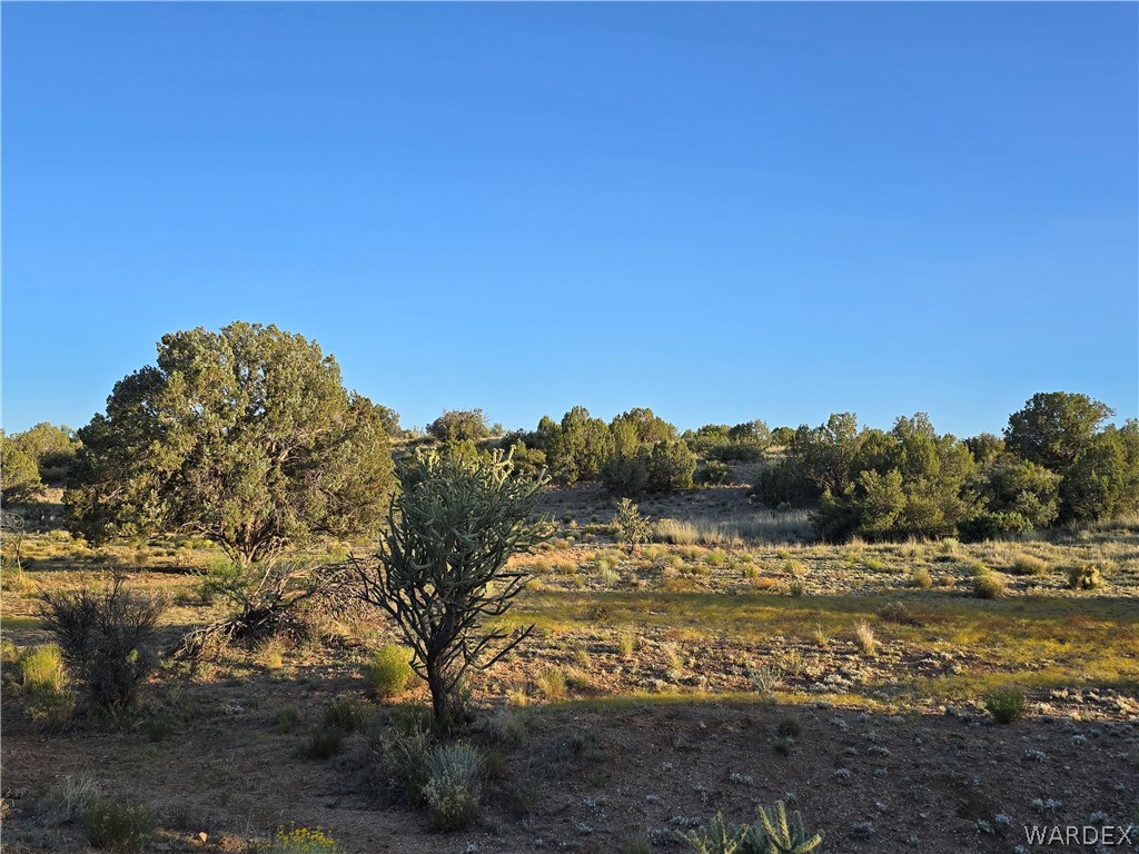 0 North Rease Road Kingman, AZ 86401 - Photo 23 of 50