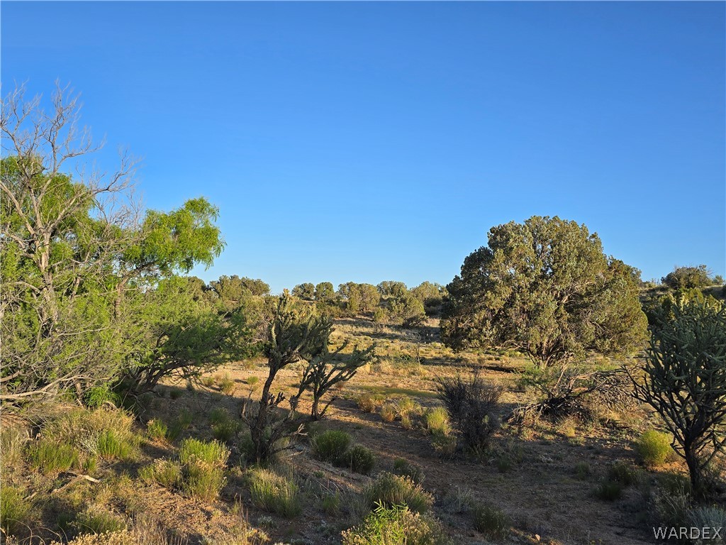 0 North Rease Road Kingman, AZ 86401 - Photo 24 of 50