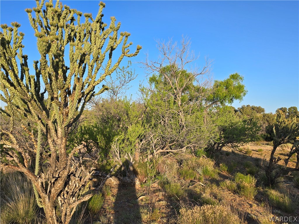 0 North Rease Road Kingman, AZ 86401 - Photo 25 of 50