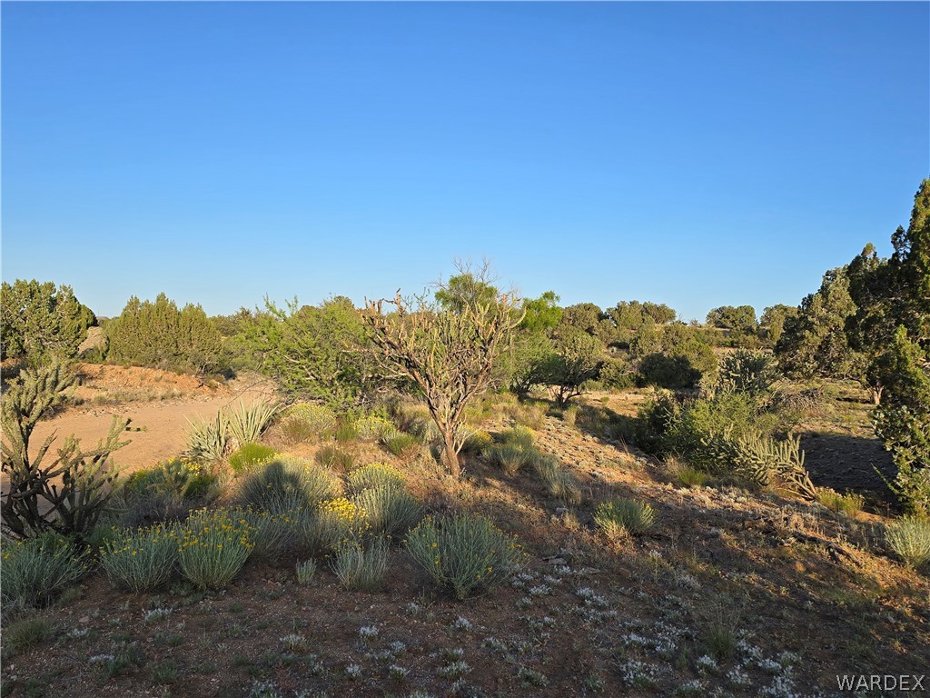 0 North Rease Road Kingman, AZ 86401 - Photo 26 of 50