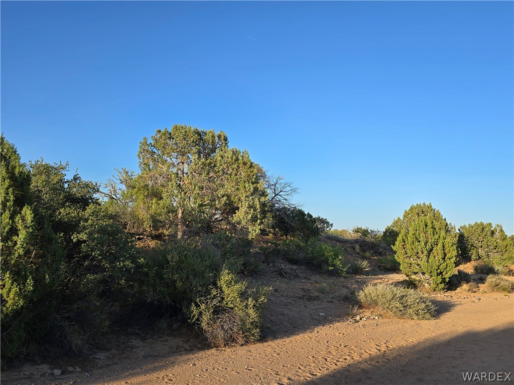 0 North Rease Road Kingman, AZ 86401 - Photo 28 of 50