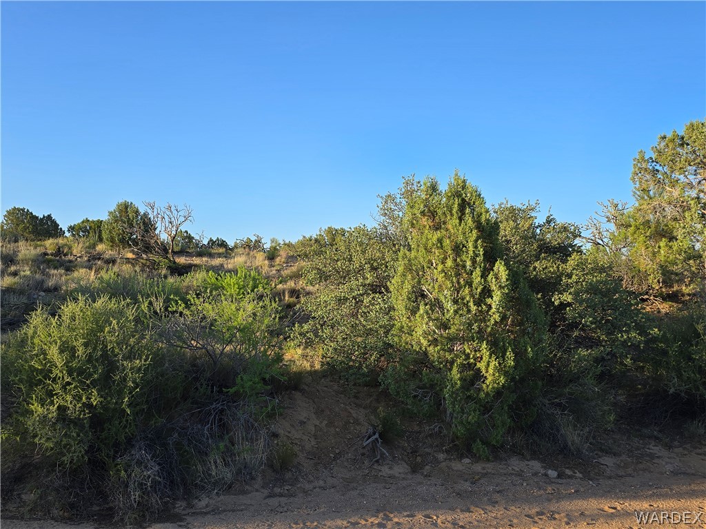 0 North Rease Road Kingman, AZ 86401 - Photo 29 of 50