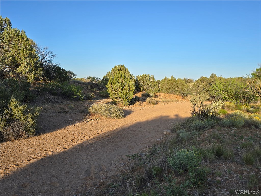 0 North Rease Road Kingman, AZ 86401 - Photo 30 of 50