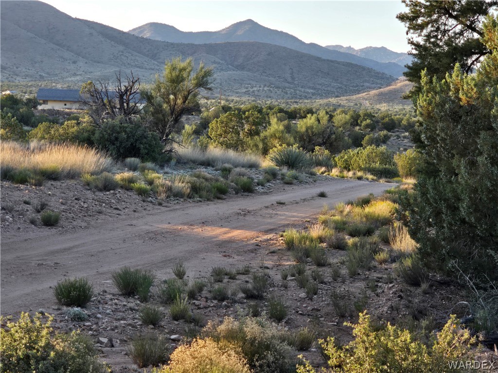0 North Rease Road Kingman, AZ 86401 - Photo 3 of 50