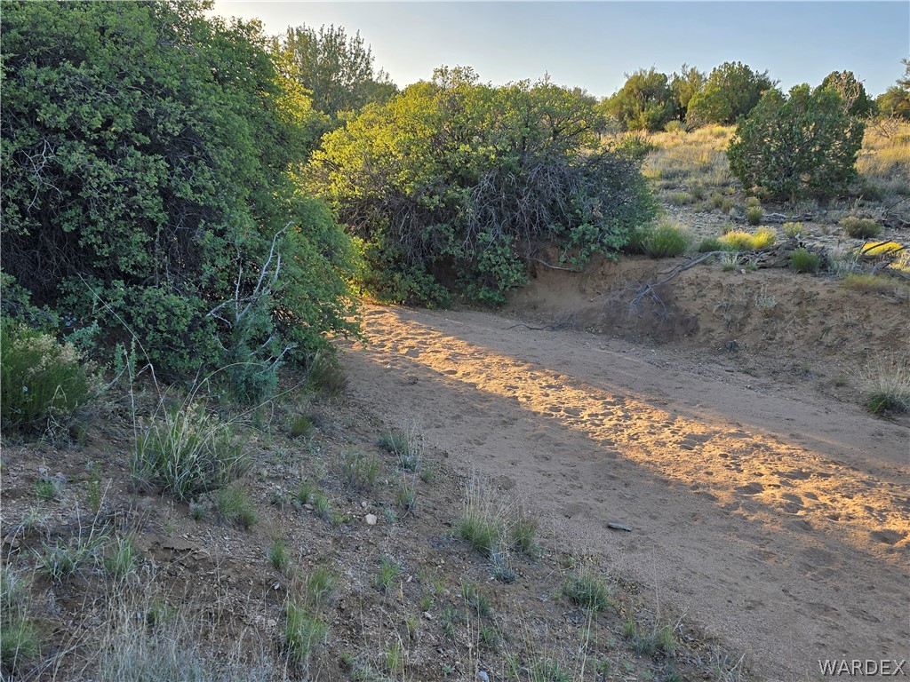 0 North Rease Road Kingman, AZ 86401 - Photo 31 of 50