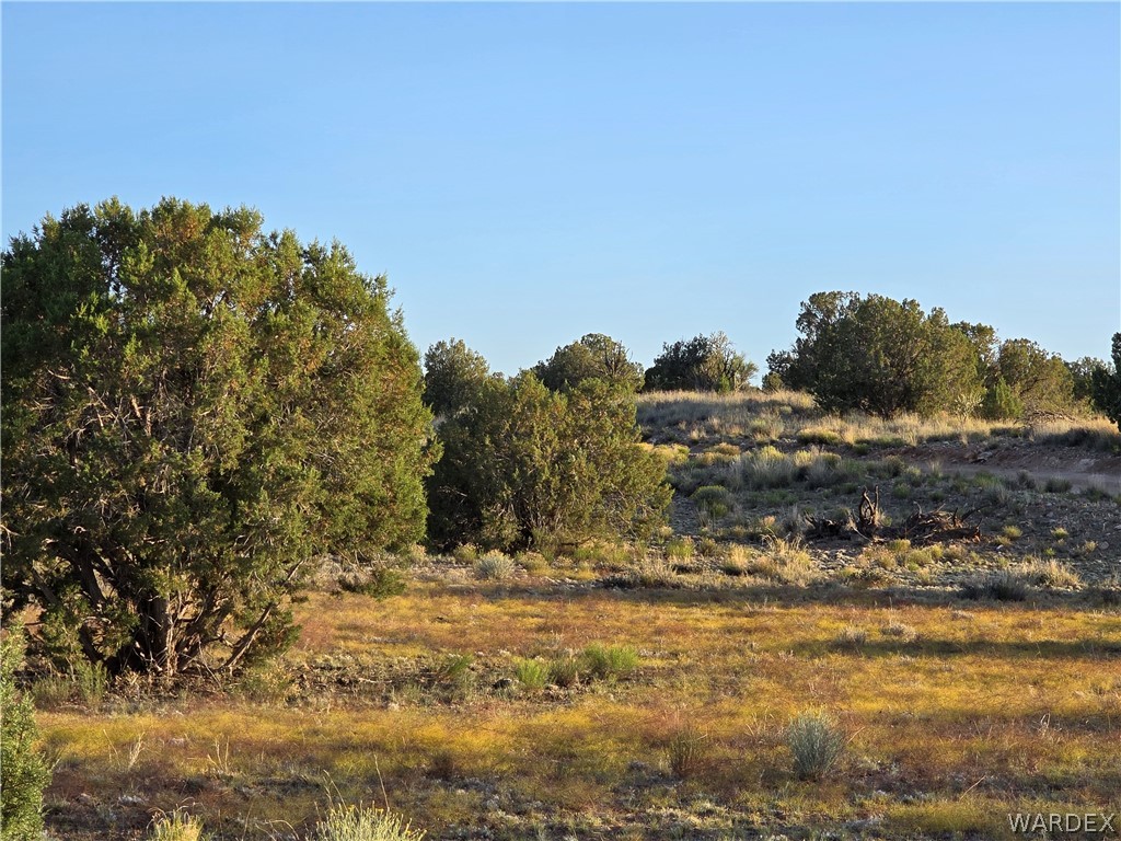 0 North Rease Road Kingman, AZ 86401 - Photo 32 of 50