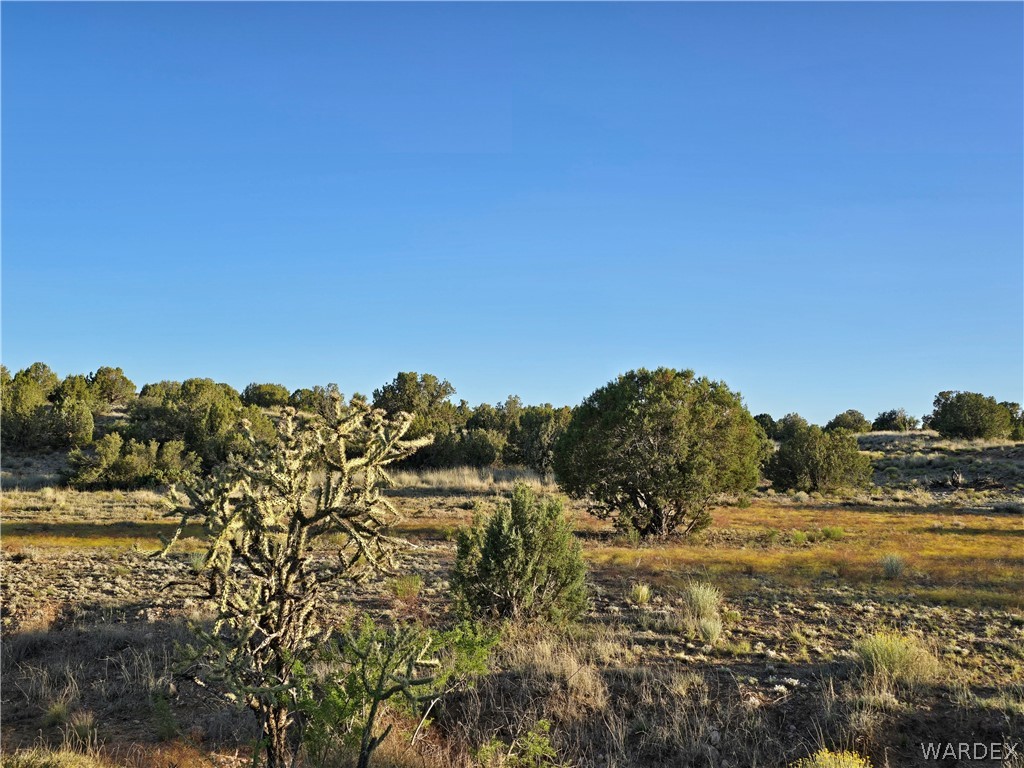 0 North Rease Road Kingman, AZ 86401 - Photo 33 of 50
