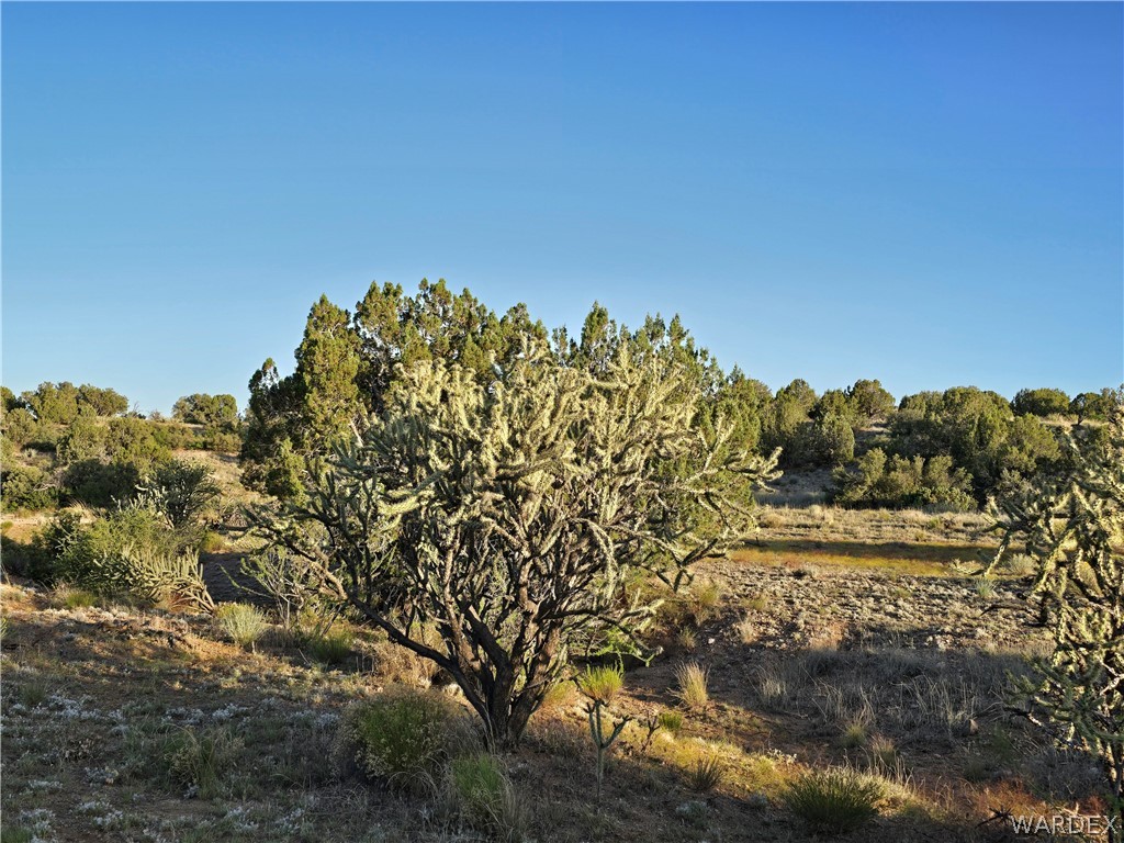 0 North Rease Road Kingman, AZ 86401 - Photo 34 of 50