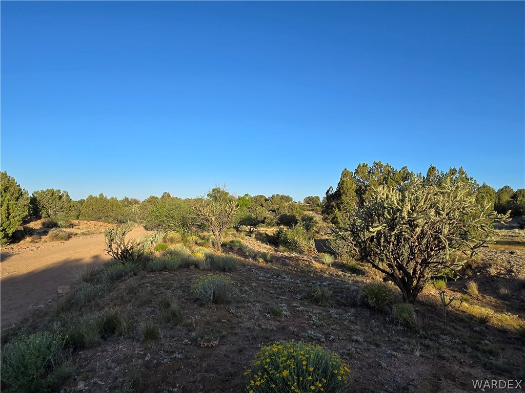 0 North Rease Road Kingman, AZ 86401 - Photo 35 of 50