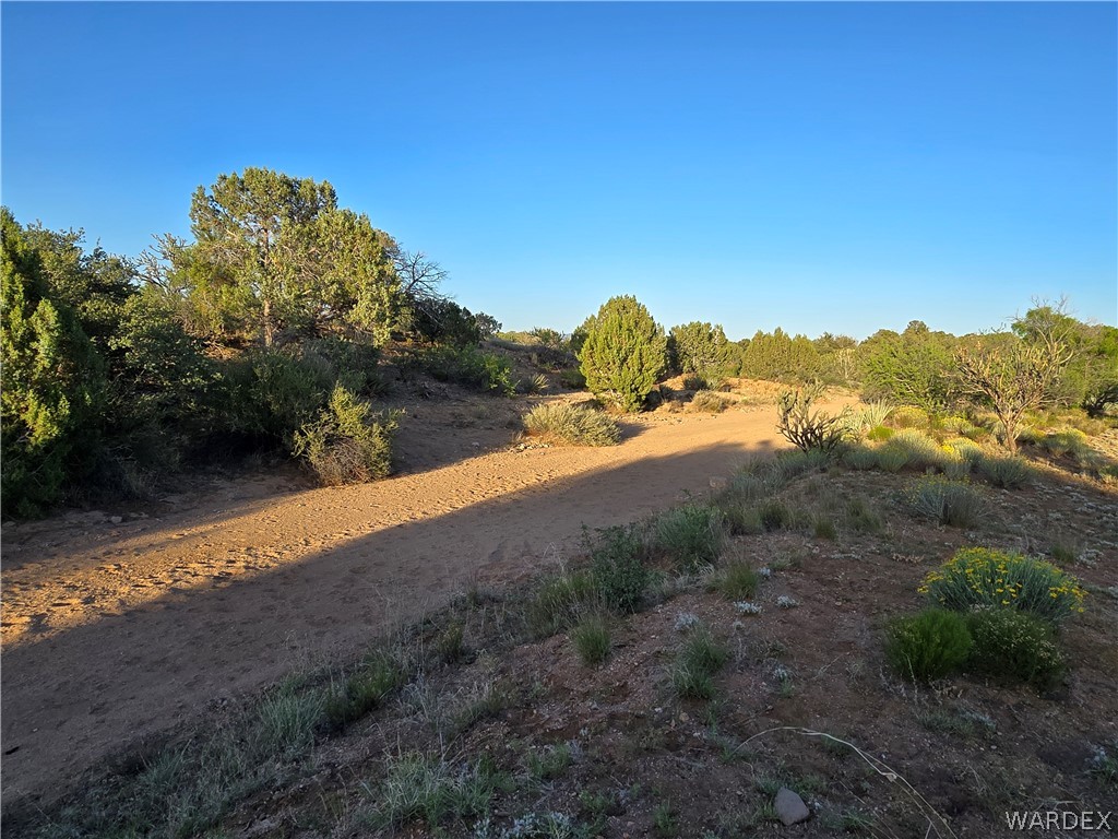 0 North Rease Road Kingman, AZ 86401 - Photo 36 of 50
