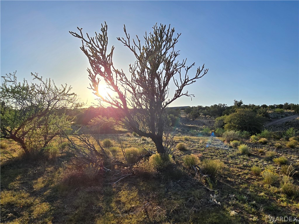 0 North Rease Road Kingman, AZ 86401 - Photo 37 of 50