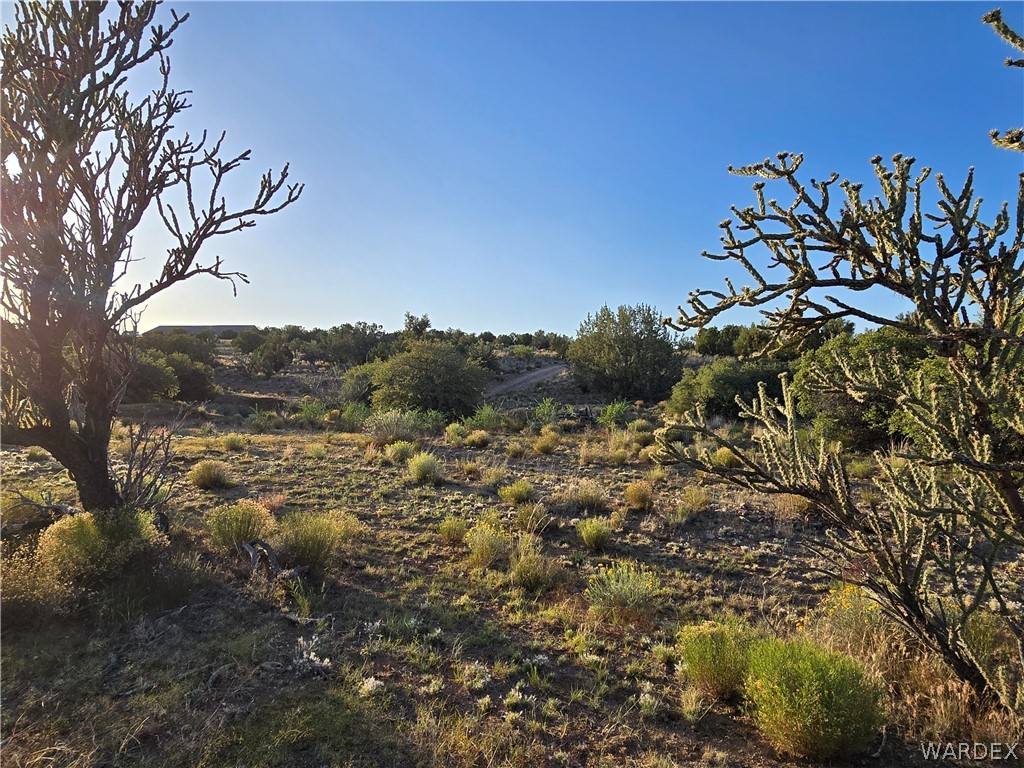 0 North Rease Road Kingman, AZ 86401 - Photo 38 of 50