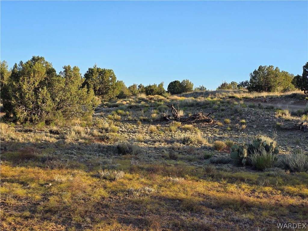 0 North Rease Road Kingman, AZ 86401 - Photo 40 of 50