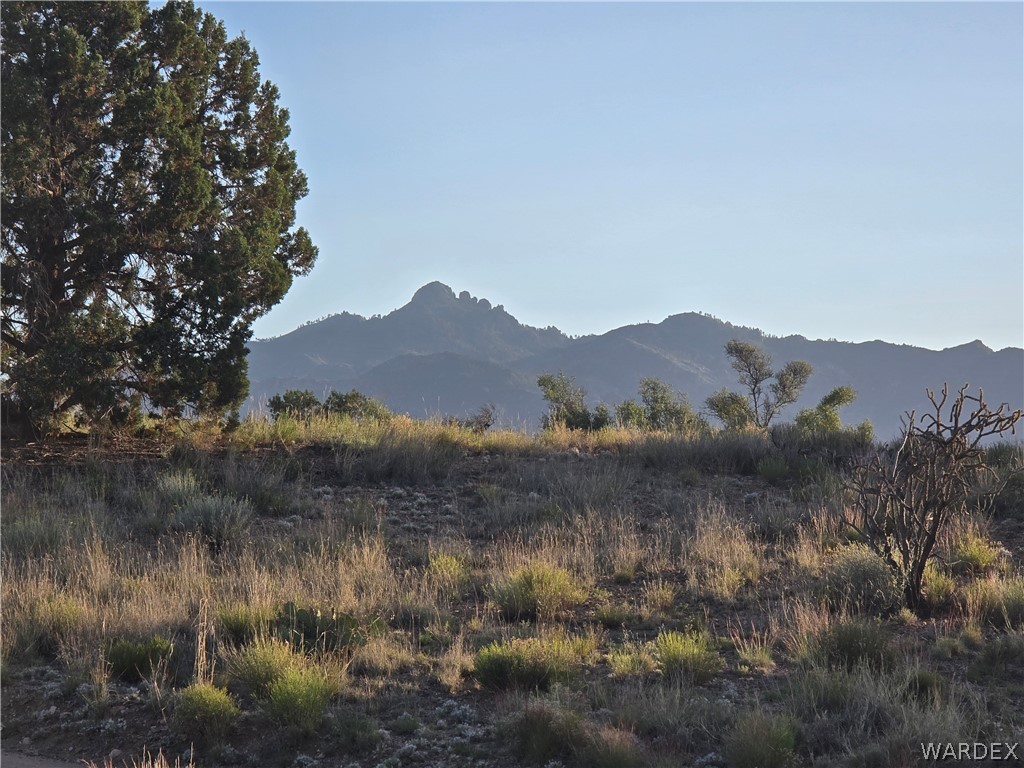 0 North Rease Road Kingman, AZ 86401 - Photo 41 of 50
