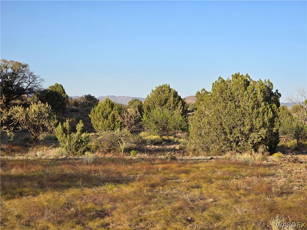 0 North Rease Road Kingman, AZ 86401 - Photo 42 of 50
