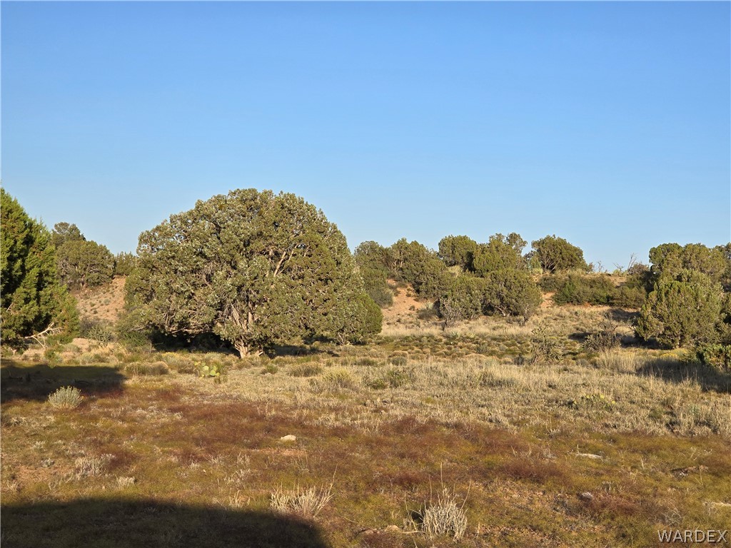 0 North Rease Road Kingman, AZ 86401 - Photo 43 of 50