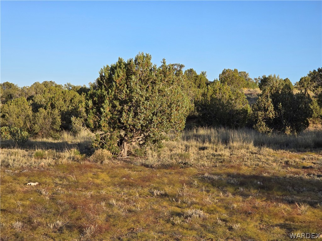 0 North Rease Road Kingman, AZ 86401 - Photo 44 of 50