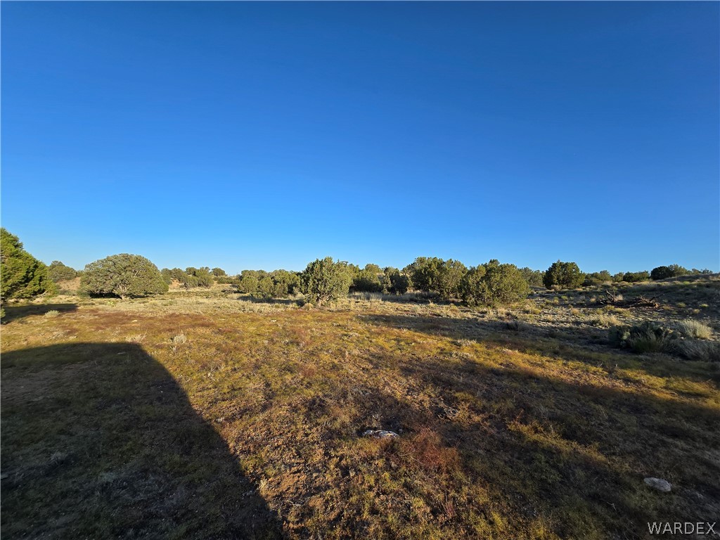 0 North Rease Road Kingman, AZ 86401 - Photo 45 of 50