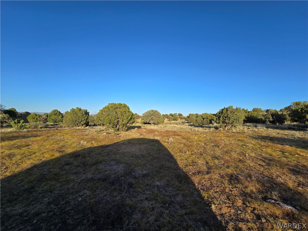 0 North Rease Road Kingman, AZ 86401 - Photo 46 of 50