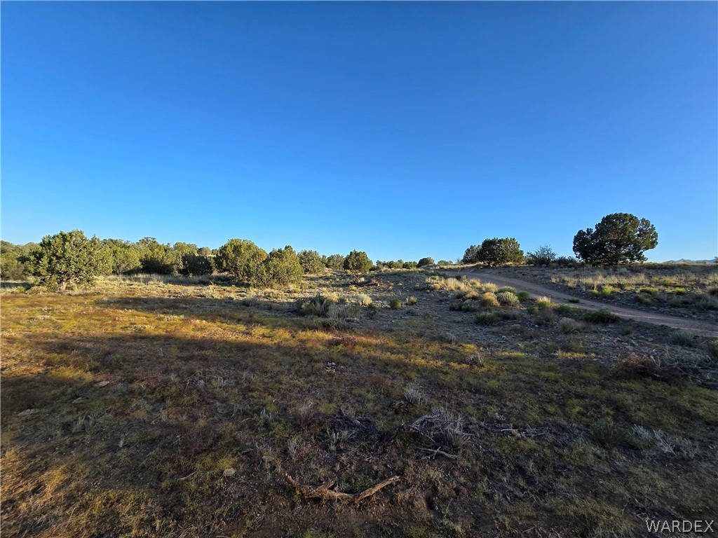 0 North Rease Road Kingman, AZ 86401 - Photo 47 of 50