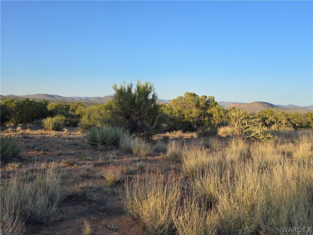 0 North Rease Road Kingman, AZ 86401 - Photo 5 of 50